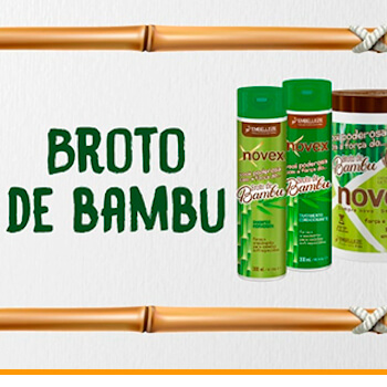 Brote de Bambú
